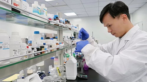 喜报 枫木医药首席研发专家黄永平博士入选华南理工大学博士后，引领药械创新与数字化融合新篇章